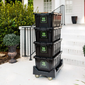 Bachelor/Studio/Student